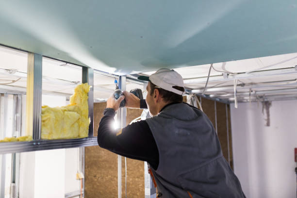 Best Insulation Installation Services in Port Norris, NJ